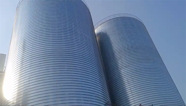 井研2座混凝土高架卷板仓